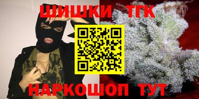 Альфа ПВП Камышлов
