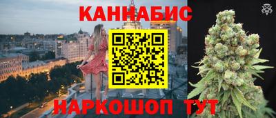 Альфа ПВП Камышлов