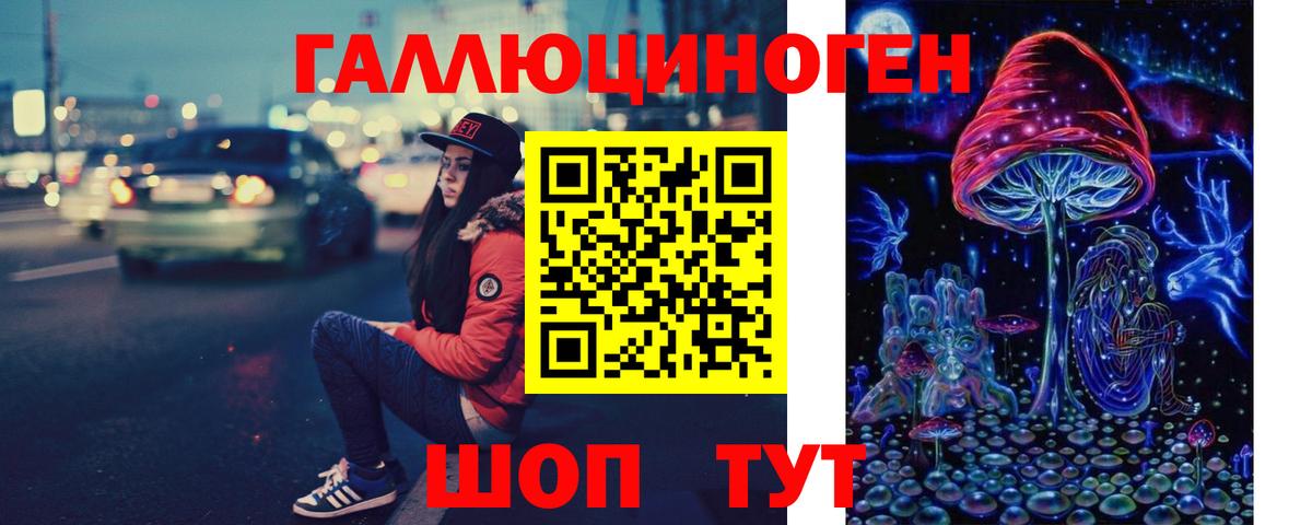 Галлюциногенные грибы Psilocybe  Вход с VPN  Куйбышев 